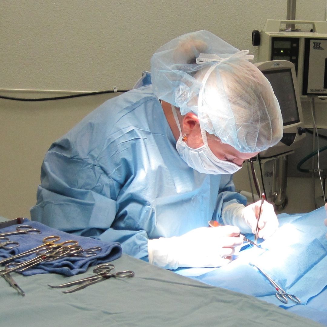 SoftSurg - Vet Surgery Services