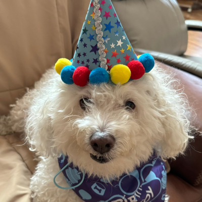 Cute puppy with Tracy smiling